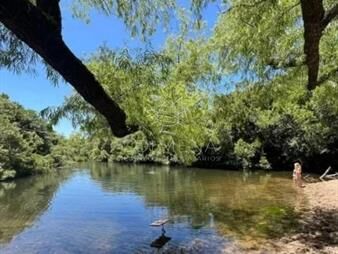 https://web5.gallito.com.uy/campo-89-has-en-paraje-pueblo-eden-inmuebles-25433693