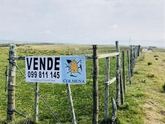 https://www.gallito.com.uy/campo-de-24-has-con-8156-m2-camino-a-pueblo-garzon-y-cerca-inmuebles-22908285
