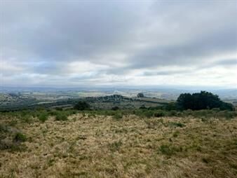 https://www.gallito.com.uy/chacras-de-6has-en-pueblo-eden-hermosas-vistas-a-las-si-inmuebles-22909935