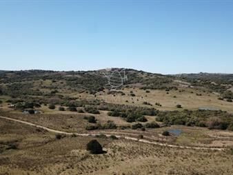 https://www.gallito.com.uy/campo-86-has-6937-m2-en-la-cañas-inmuebles-25353573