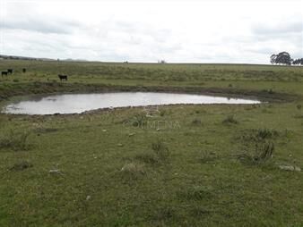 https://www.gallito.com.uy/campo-42-has-consulte-inmuebles-22909208