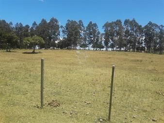 https://www.gallito.com.uy/campo-por-ruta-12-con-muy-buena-casa-inmuebles-22909788