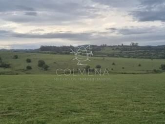 https://www.gallito.com.uy/pueblo-eden-inmuebles-23019355