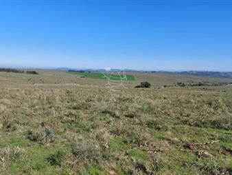 https://www.gallito.com.uy/campo-14-has-a-pocos-km-de-pueblo-eden-inmuebles-23946941