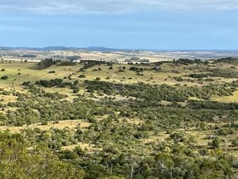https://www.gallito.com.uy/campo-95-has-cerca-de-pueblo-eden-con-excelentes-vistas-inmuebles-23926962