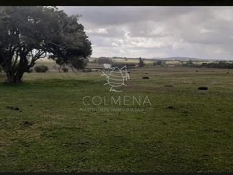 https://www.gallito.com.uy/campo-5-has-con-linda-casa-a-25-km-de-punta-del-este-consul-inmuebles-22909239