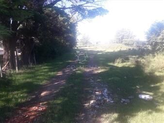 https://www.gallito.com.uy/campo-cerca-de-pueblo-eden-consulte-inmuebles-22909386