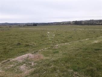 https://www.gallito.com.uy/campo-a-5-km-de-pueblo-garzon-coneat-106-inmuebles-22909462