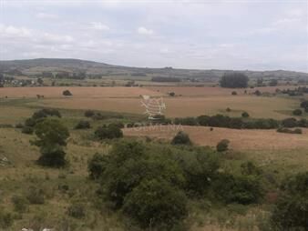 https://www.gallito.com.uy/campo-5-has-cerca-de-pueblo-eden-codigo-5463-inmuebles-22909767