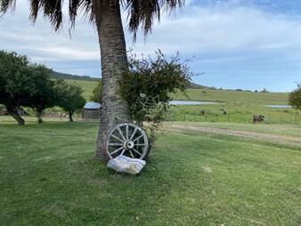 https://www.gallito.com.uy/campo-con-casa-en-pueblo-eden-inmuebles-22909981