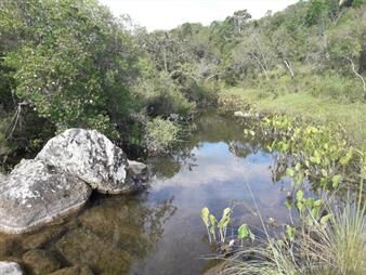 https://www.gallito.com.uy/campo-cerca-de-pueblo-eden-consulte-inmuebles-22908843