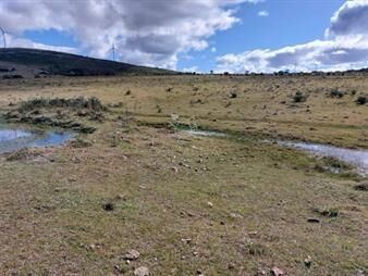 https://www.gallito.com.uy/campo-en-partido-norte-inmuebles-22910167