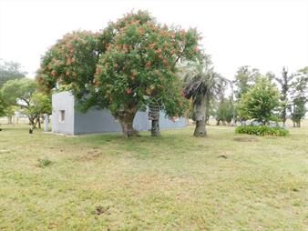https://www.gallito.com.uy/campo-chacra-en-venta-entrada-de-pueblo-garzon-35-hectare-inmuebles-22909174