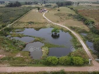 https://web5.gallito.com.uy/venta-chacra-6-hectareas-pan-de-azucar-maldonado-inmuebles-25470431