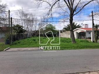 https://web5.gallito.com.uy/terreno-de-461-m2-en-barra-de-carrasco-inmuebles-25026658