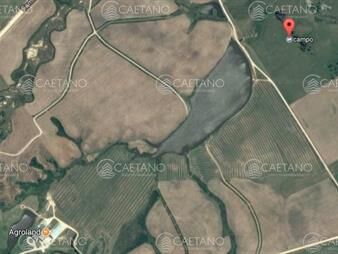 https://www.gallito.com.uy/excelente-campo-de-113-hectareas-ubicado-en-garzon-inmuebles-21673751
