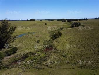 https://web5.gallito.com.uy/venta-chacra-jose-ignacio-con-costa-arroyo-anastasio-inmuebles-25509124