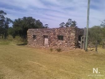 https://www.gallito.com.uy/campo-en-pueblo-eden-inmuebles-24768937