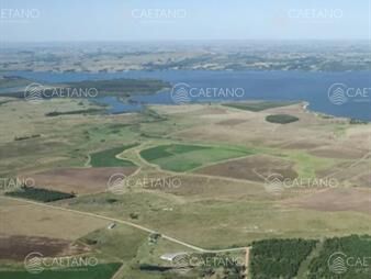 https://web5.gallito.com.uy/chacra-con-costa-a-laguna-del-sauce-inmuebles-22395289