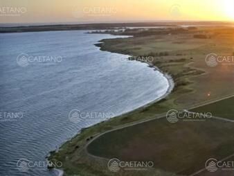 https://web5.gallito.com.uy/venta-chacra-146-hectareas-sobre-laguna-del-sauce-inmuebles-22395290