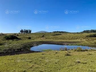 https://www.gallito.com.uy/chacra-5-hectareas-ruta-interbancaria-maldonado-inmuebles-21862087