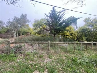 https://www.gallito.com.uy/terreno-en-venta-el-tesoro-inmuebles-22311922