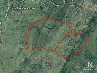 https://www.gallito.com.uy/campo-ganadero-en-venta-inmuebles-25034620