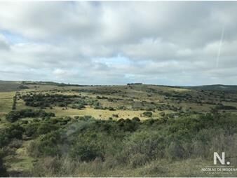 https://www.gallito.com.uy/en-venta-campo-tipo-criador-en-montevideo-treinta-y-tres-inmuebles-25495000