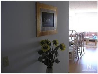 https://web5.gallito.com.uy/apartamento-en-primera-linea-inmuebles-24987491