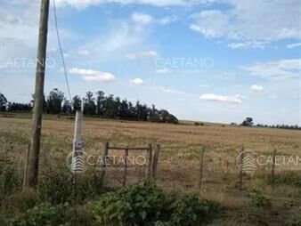 https://web5.gallito.com.uy/chacra-en-lavalleja-inmuebles-21780537