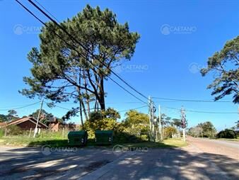 https://web5.gallito.com.uy/terreno-en-punta-del-este-arcobaleno-inmuebles-23276415