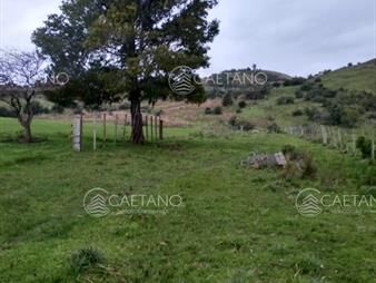 https://www.gallito.com.uy/vendo-excelente-chacra-de-39-hectareas-para-granja-turist-inmuebles-22470439