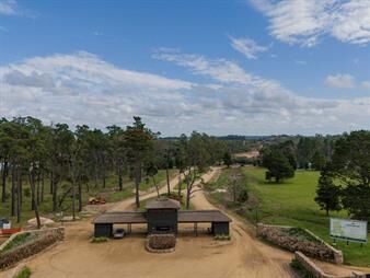 https://www.gallito.com.uy/venta-lotes-chacras-la-barra-camino-urquiza-punta-este-inmuebles-25592301