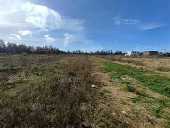 https://web5.gallito.com.uy/venta-terreno-la-barra-inmuebles-24053140