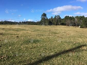 https://web5.gallito.com.uy/venta-terreno-rincon-del-indio-inmuebles-23322132