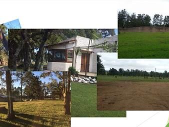 https://web5.gallito.com.uy/chacra-en-venta-ruta-9-inmuebles-25534566