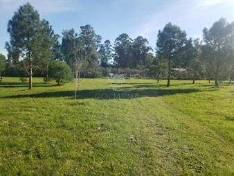 https://web5.gallito.com.uy/chacra-de-3-has-con-5657-m2-en-camino-benito-nardone-inmuebles-25598147
