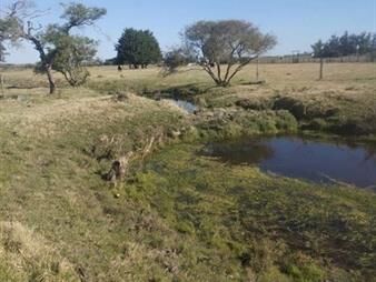 https://www.gallito.com.uy/en-venta-chacra-en-abra-perdomo-maldonado-inmuebles-25038391