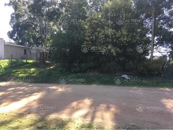 https://web5.gallito.com.uy/punta-del-este-parque-burnett-excelente-terreno-apto-para-p-inmuebles-25226069