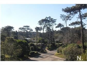 https://web5.gallito.com.uy/apartamento-en-punta-del-este-roosevelt-inmuebles-24987435