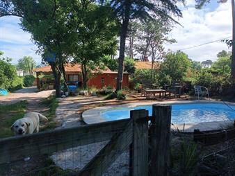 https://www.gallito.com.uy/2-casas-en-venta-con-gran-terreno-y-piscina-el-pinar-nort-inmuebles-25643699