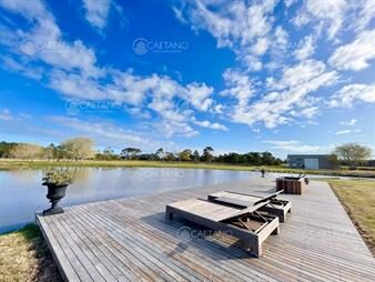 https://www.gallito.com.uy/venta-chacra-5-hectareas-jose-ignacio-inmuebles-22677001
