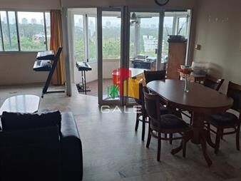 https://web5.gallito.com.uy/oportunidad-bajo-de-precio-hermoso-y-amplio-apartamento-e-inmuebles-25486810