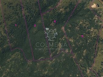 https://web5.gallito.com.uy/campo-111-has-en-lavalleja-col-7120-inmuebles-24122381