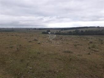 https://www.gallito.com.uy/campo-de-47-has-en-paraje-los-caracoles-consulte-inmuebles-22909121