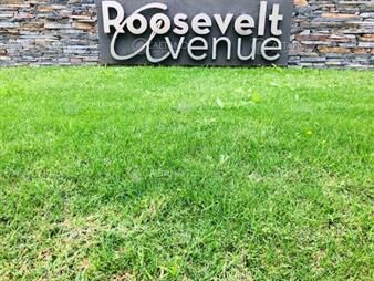 https://web5.gallito.com.uy/roosevelt-avenue-inmuebles-18410662