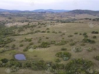 https://www.gallito.com.uy/venta-chacra-36has-pueblo-eden-inmuebles-25706561