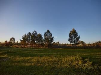 https://web5.gallito.com.uy/chacra-en-venta-paraje-las-piedritas-inmuebles-24712805