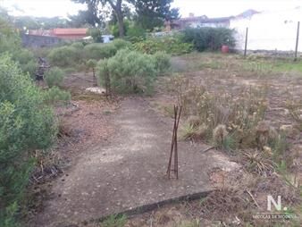 https://web5.gallito.com.uy/terreno-en-altos-del-pinar-inmuebles-25042093