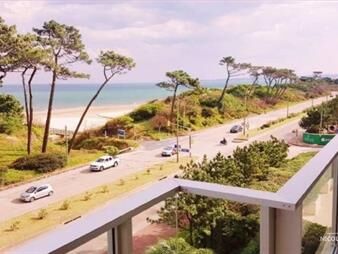 https://web5.gallito.com.uy/venta-apartamento-3-dormitorios-en-zona-mansa-frente-al-ma-inmuebles-24988045